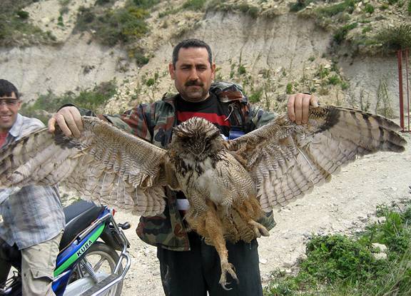 ,    (Çevlik)    Hatay.          . (Maarten Sepp).